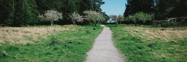 trail